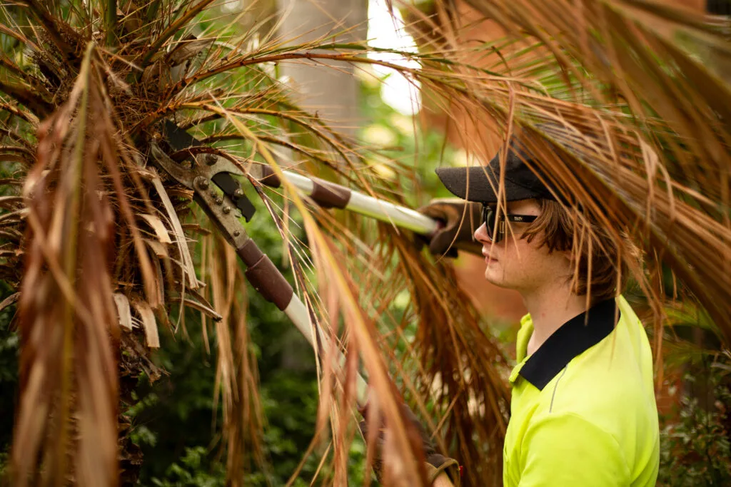 Young Brother doing gardening work
