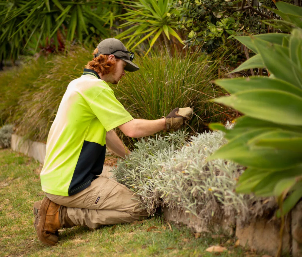 man gardening