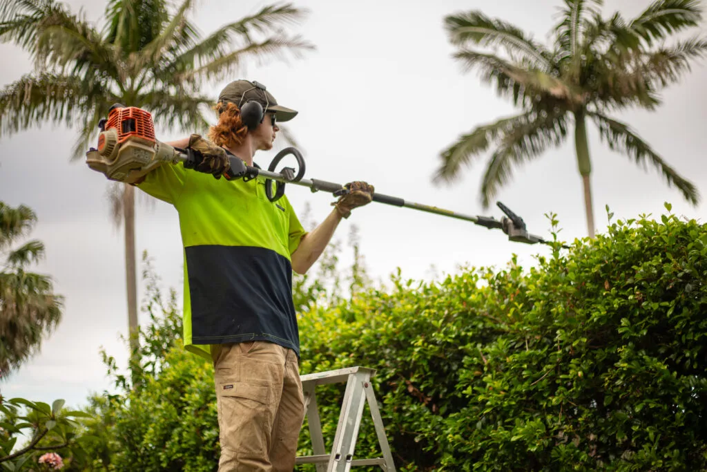 Young Brother trimming a hedge