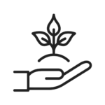 Sapling in hand icon